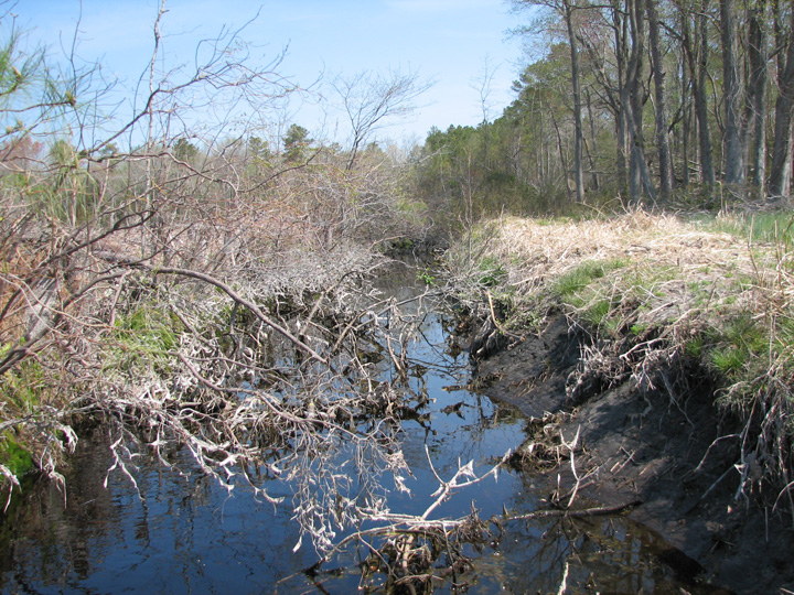 Field photo showing stream conditions at site NASS-101-B-2007-1