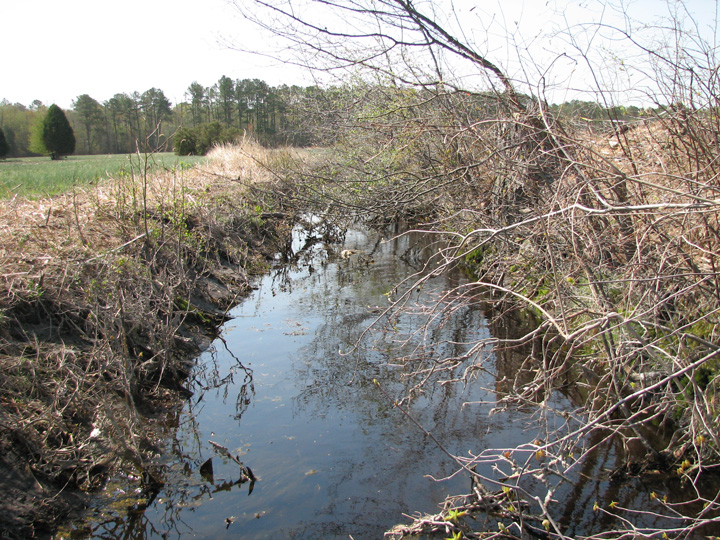 Field photo showing stream conditions at site NASS-101-B-2007-2