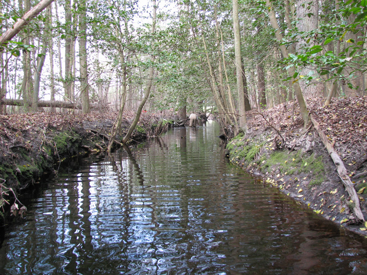 Field photo showing stream conditions at site NASS-108-R-2007-1