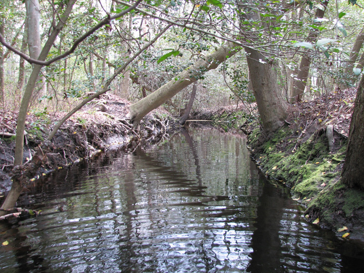 Field photo showing stream conditions at site NASS-108-R-2007-2