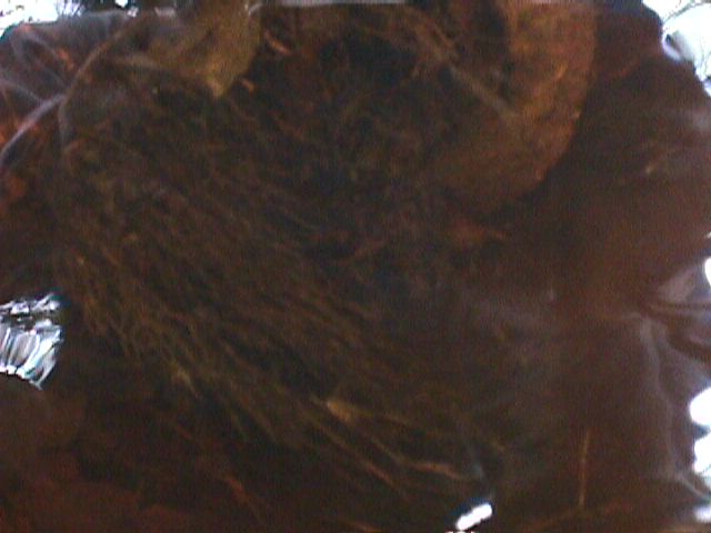 Field photo showing stream conditions at site NASS-108-S-2000-12_09