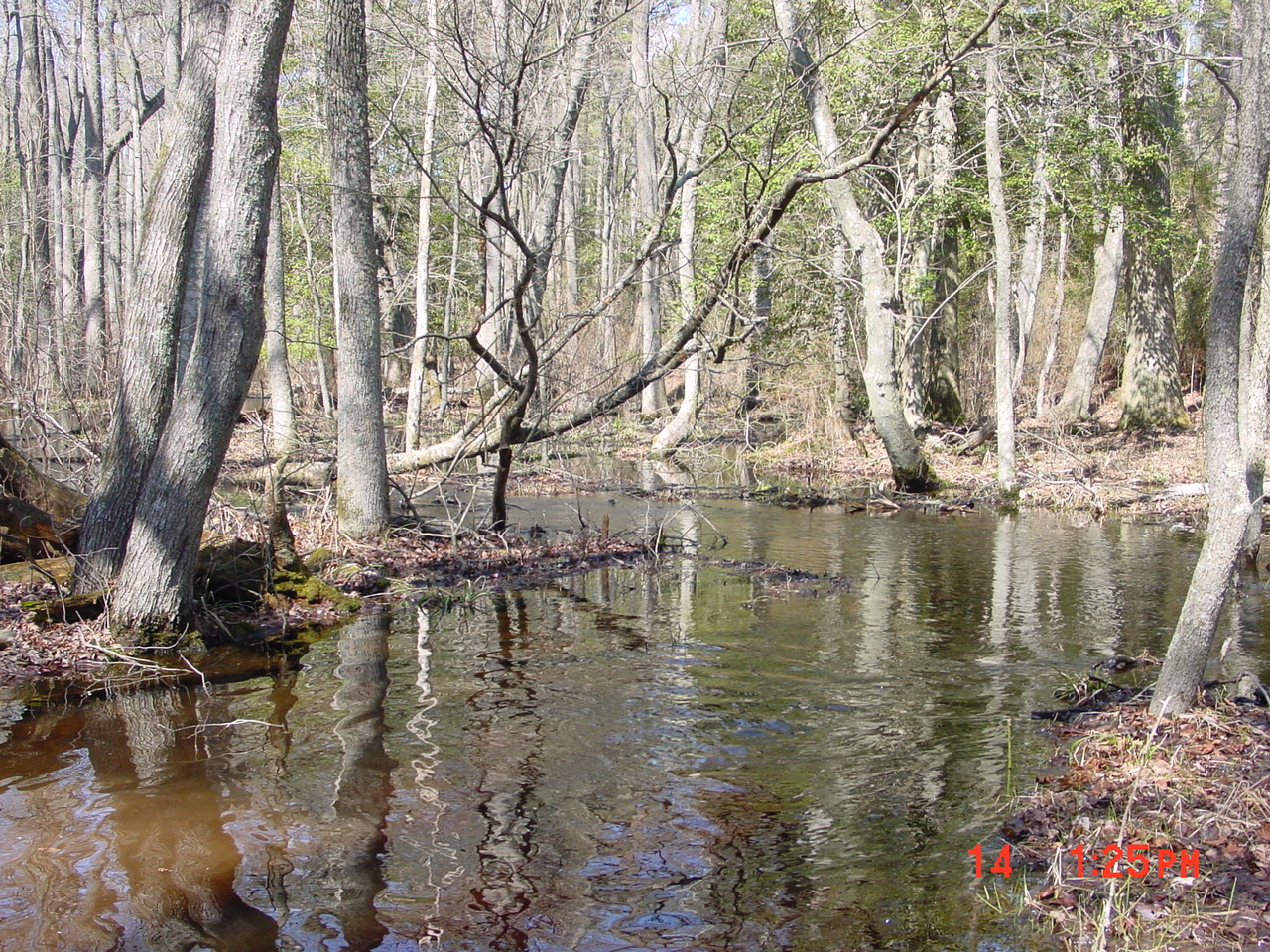 Field photo showing stream conditions at site NASS-108-S-2001-1