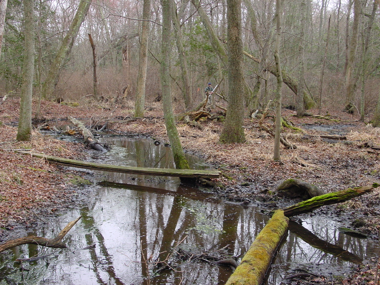 Field photo showing stream conditions at site NASS-108-S-2002-1