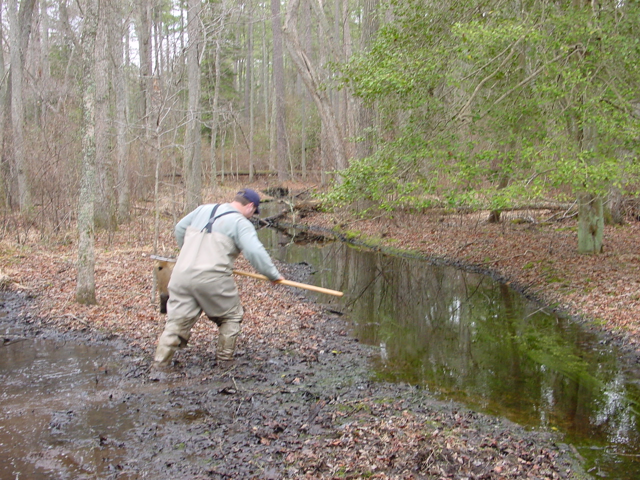 Field photo showing stream conditions at site NASS-108-S-2002-2