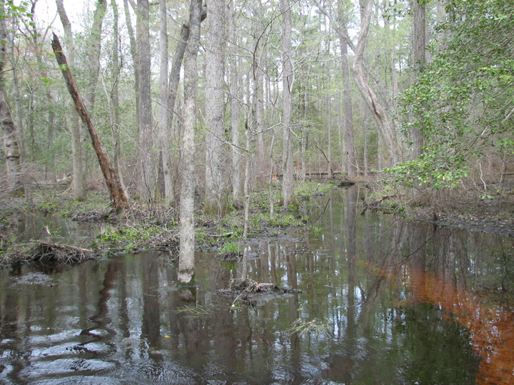 Field photo showing stream conditions at site NASS-108-S-2007-1
