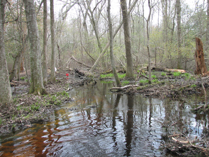 Field photo showing stream conditions at site NASS-108-S-2007-2