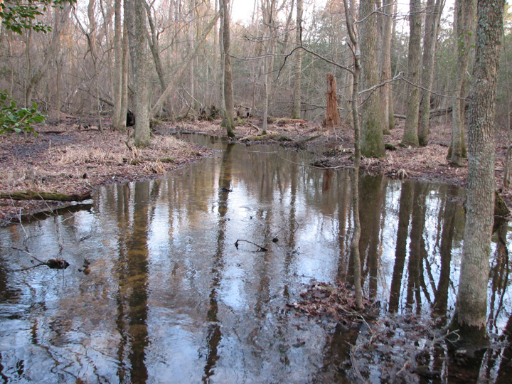 Field photo showing stream conditions at site NASS-108-S-2008-1