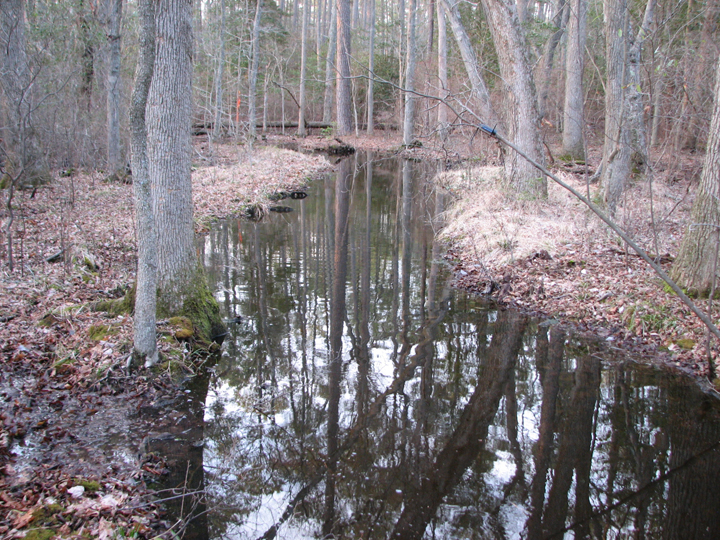 Field photo showing stream conditions at site NASS-108-S-2008-2
