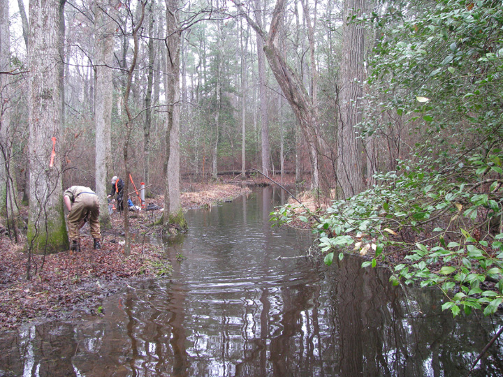 Field photo showing stream conditions at site NASS-108-S-2009-2