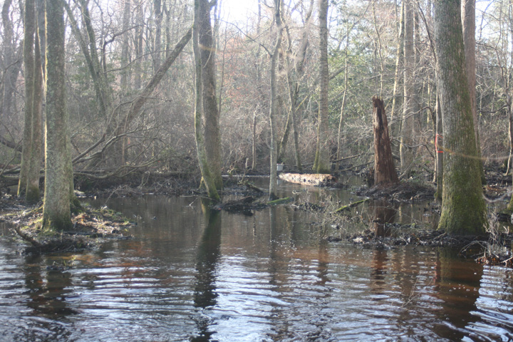 Field photo showing stream conditions at site NASS-108-S-2010-2