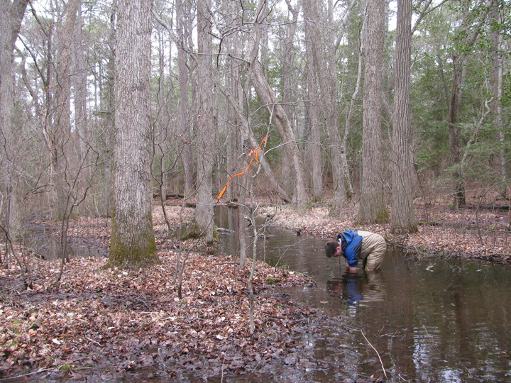 Field photo showing stream conditions at site NASS-108-S-2011-2