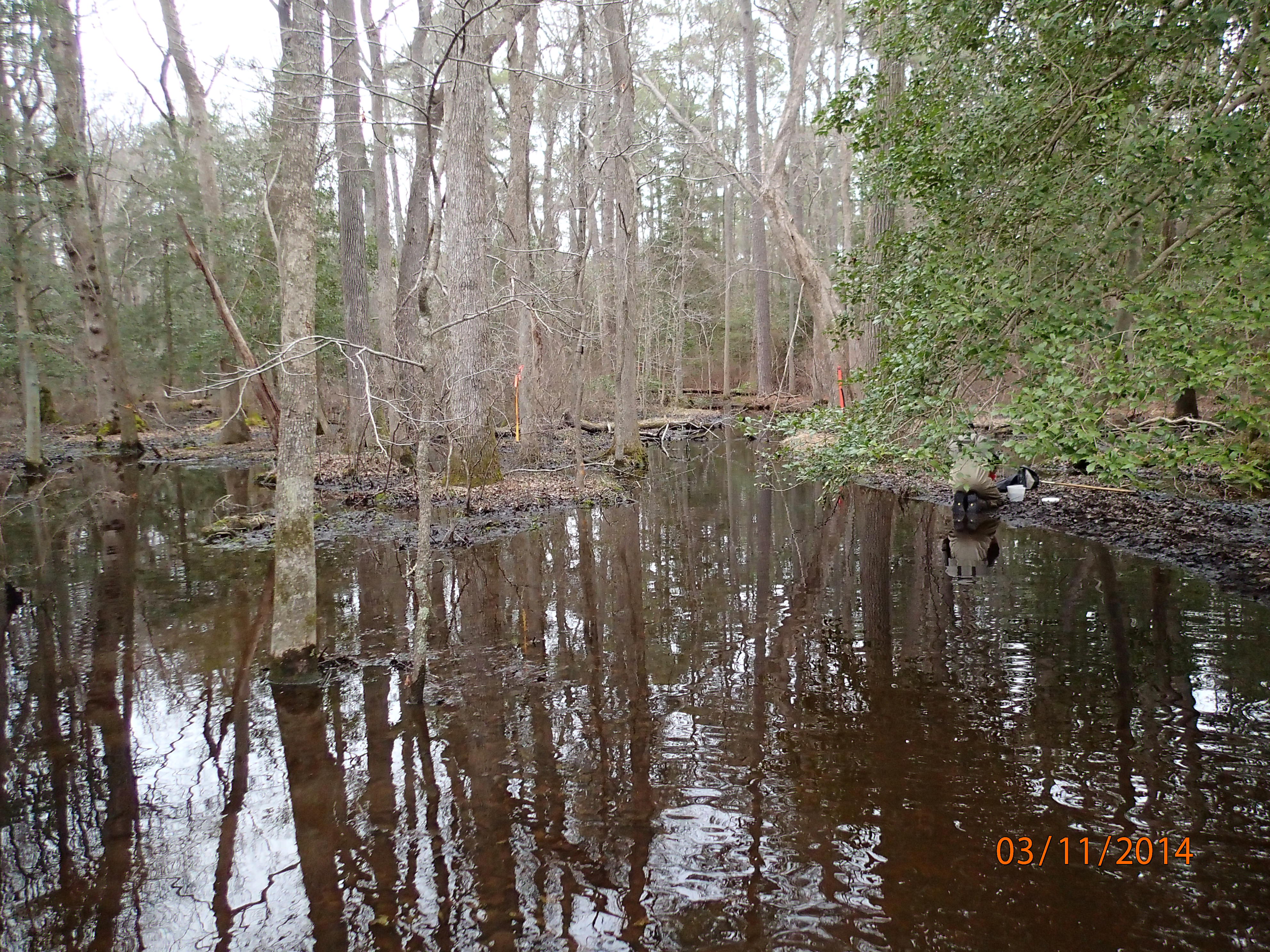 Field photo showing stream conditions at site NASS-108-S-2014-MidpointUpstream