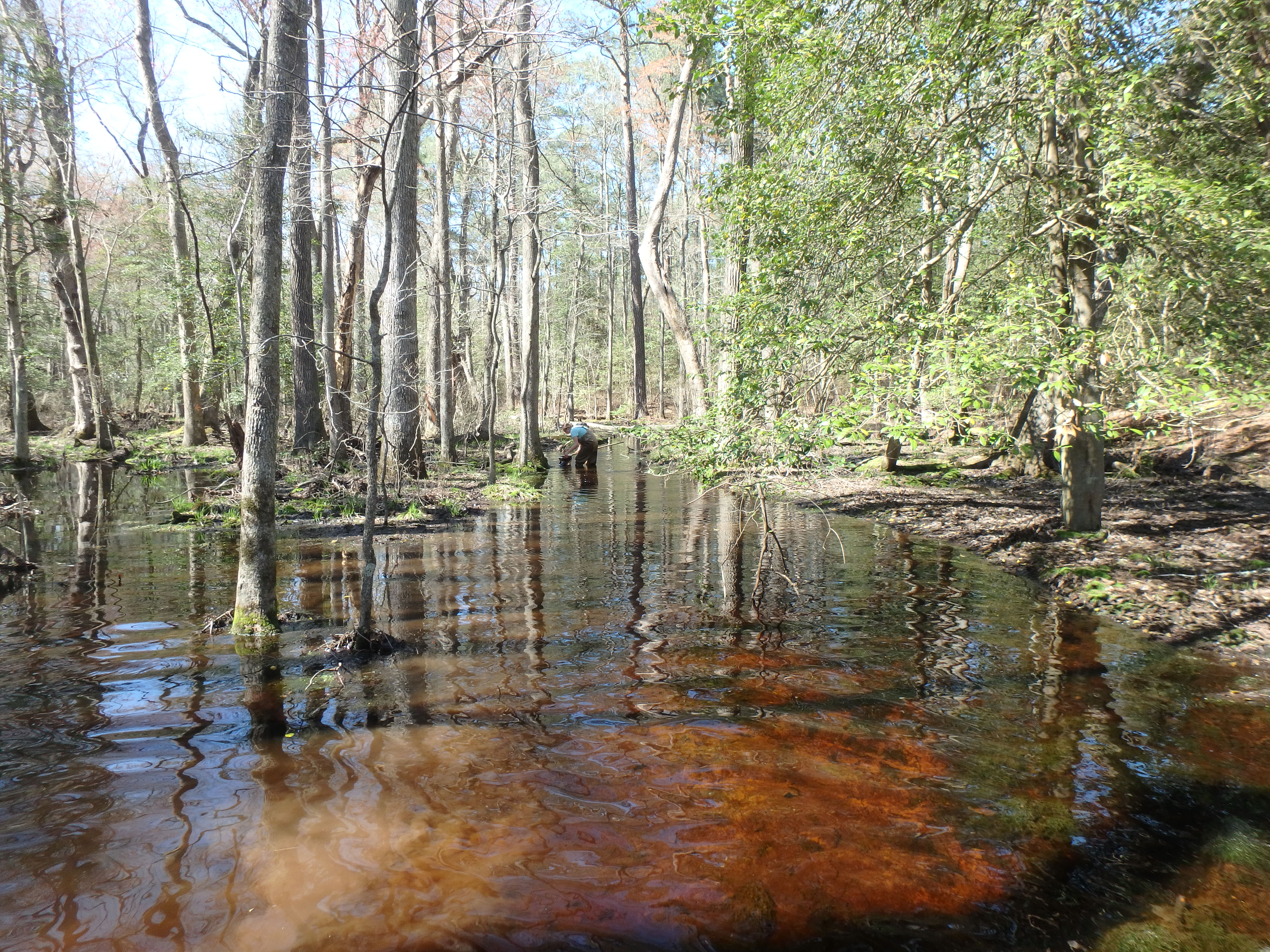 Field photo showing stream conditions at site NASS-108-S-2017-At'P'LookingUpstream