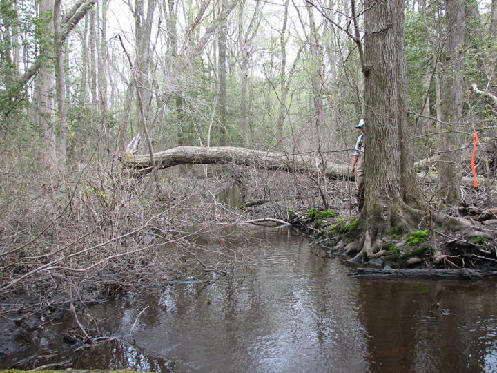 Field photo showing stream conditions at site NASS-111-B-2007-2