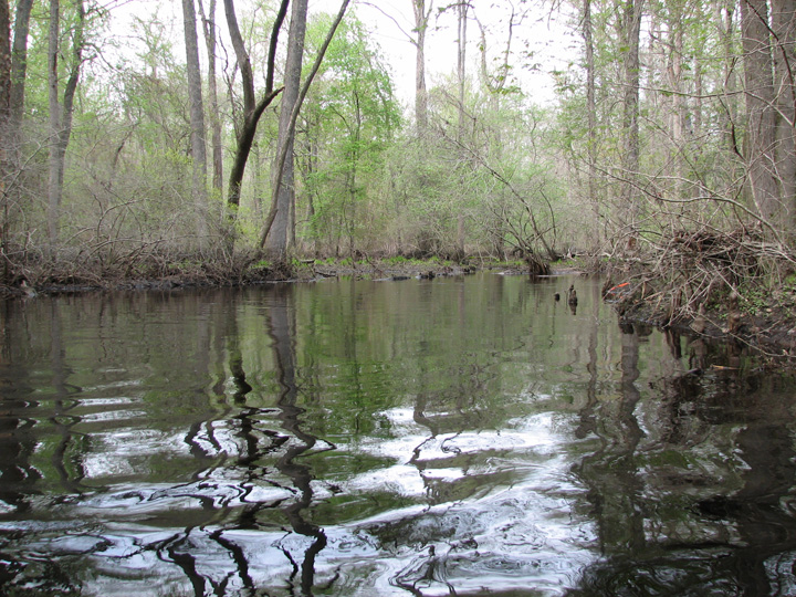 Field photo showing stream conditions at site NASS-204-B-2007-1
