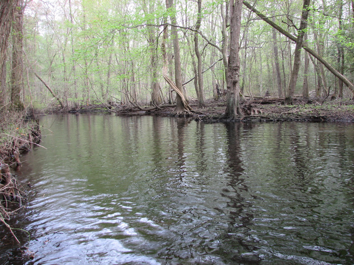 Field photo showing stream conditions at site NASS-204-B-2007-2