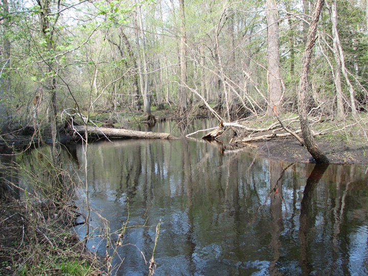 Field photo showing stream conditions at site NASS-204-R-2007-1