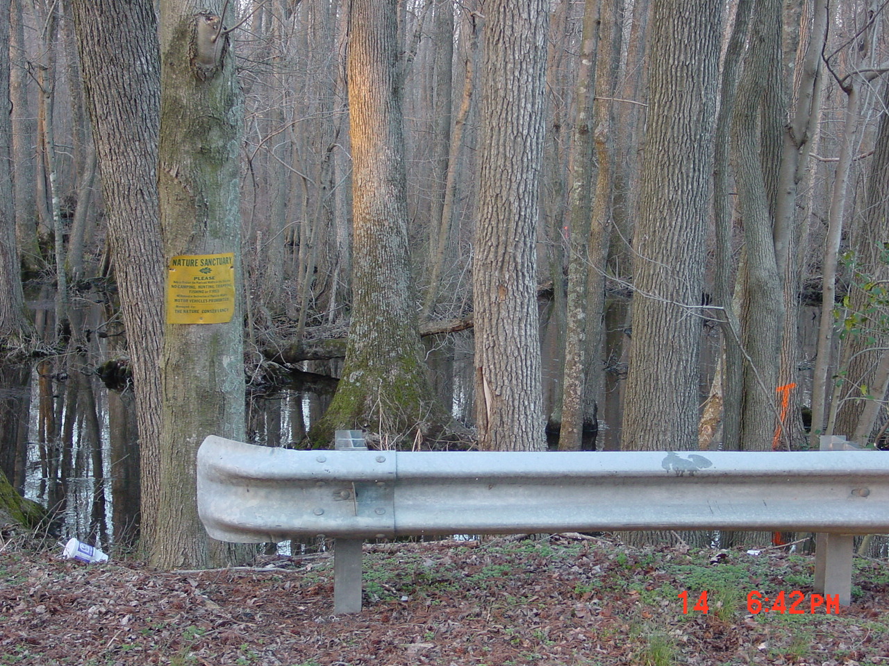 Field photo showing stream conditions at site NASS-206-R-2001-1