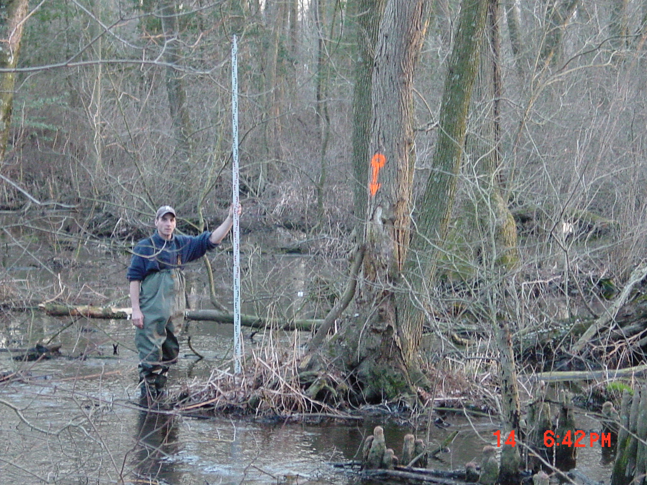 Field photo showing stream conditions at site NASS-206-R-2001-2