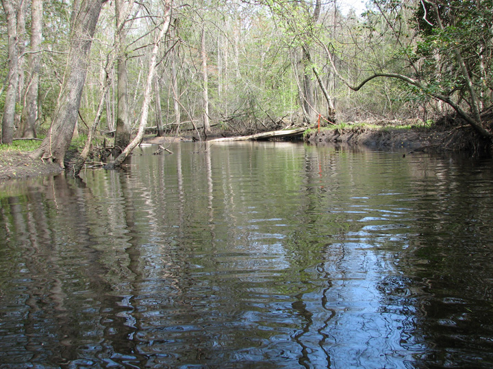 Field photo showing stream conditions at site NASS-209-B-2007-1