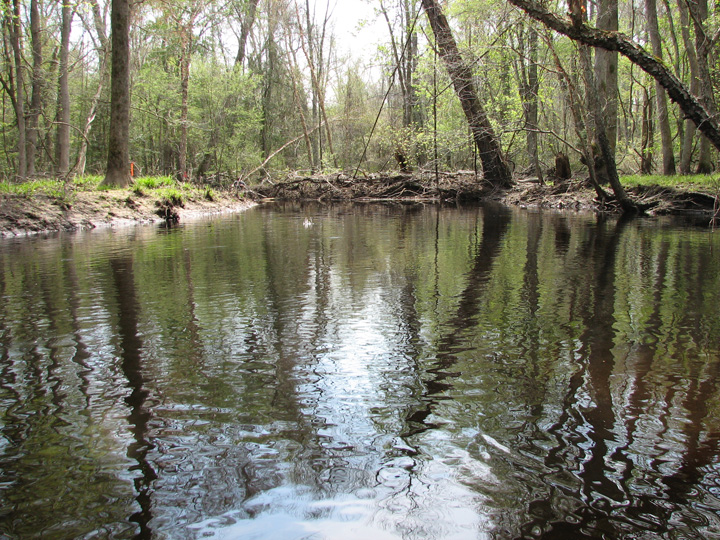 Field photo showing stream conditions at site NASS-209-B-2007-2