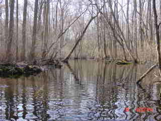 Field photo showing stream conditions at site NASS-217-R-2001-1
