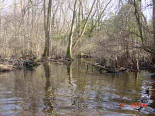 Field photo showing stream conditions at site NASS-217-R-2001-2