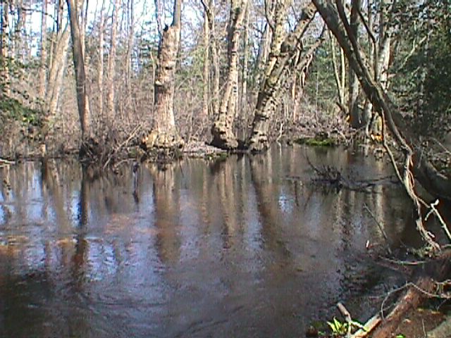 Field photo showing stream conditions at site NASS-301-S-2000-12_04