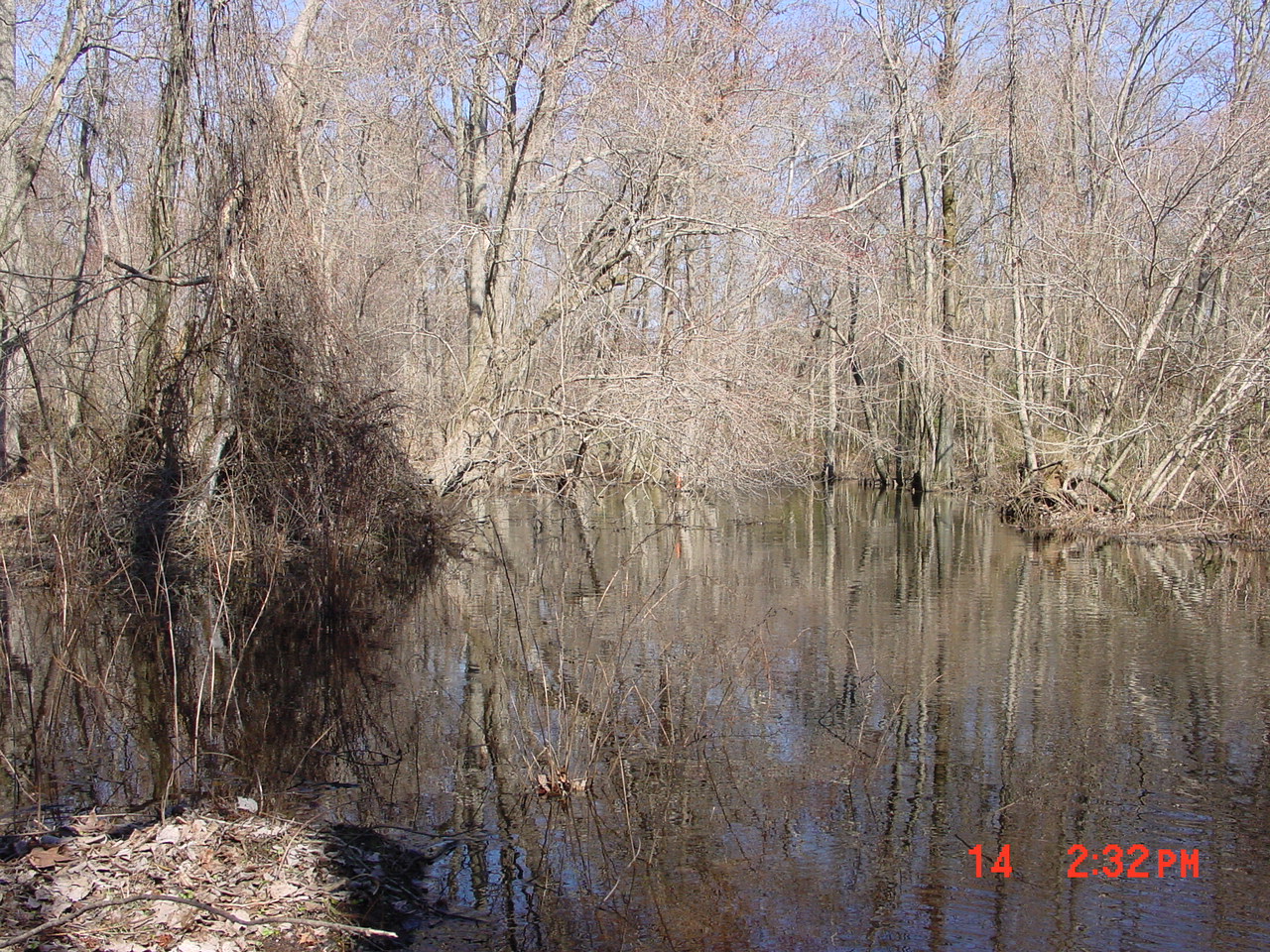 Field photo showing stream conditions at site NASS-302-S-2001-1