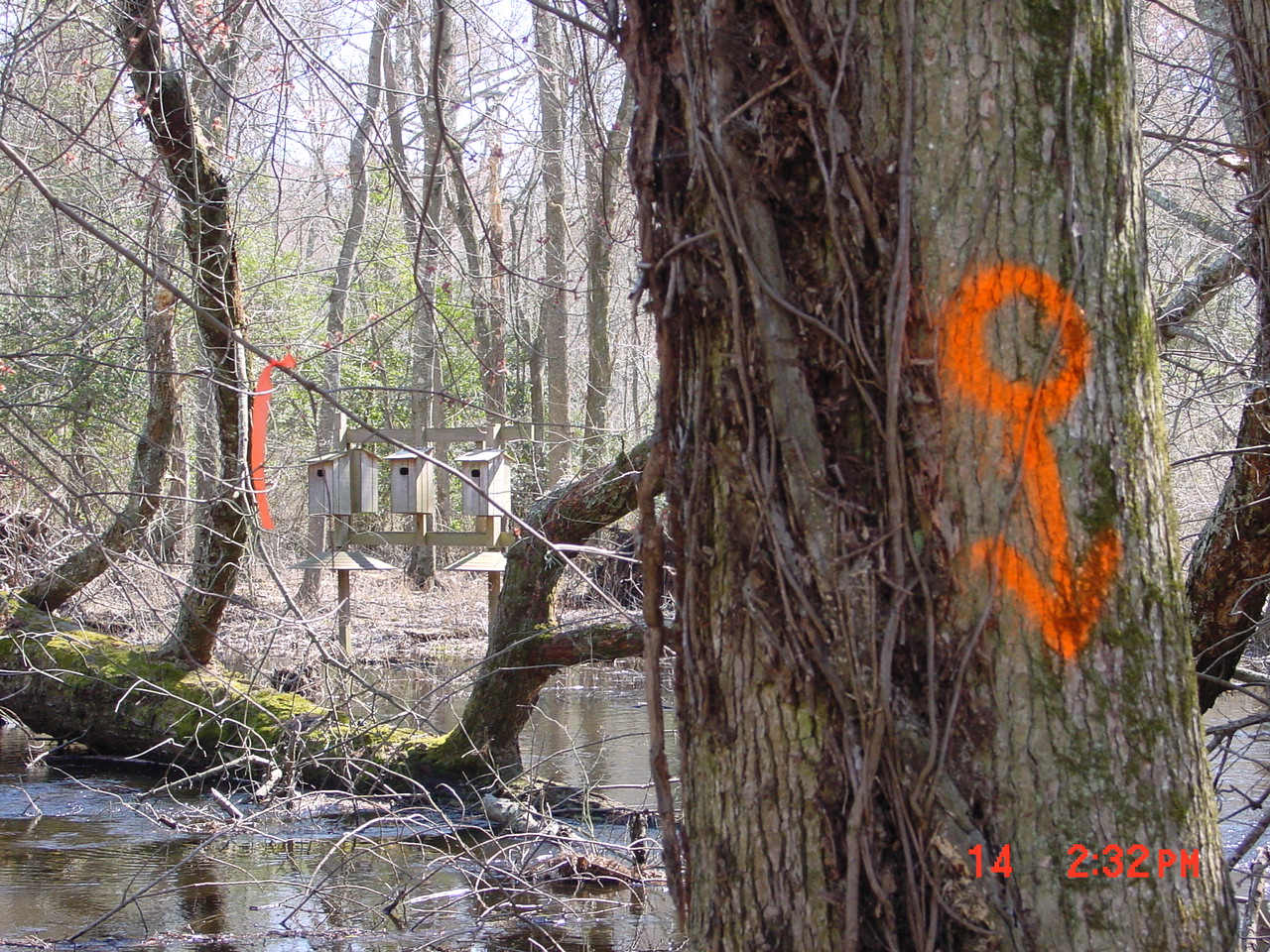 Field photo showing stream conditions at site NASS-302-S-2001-2