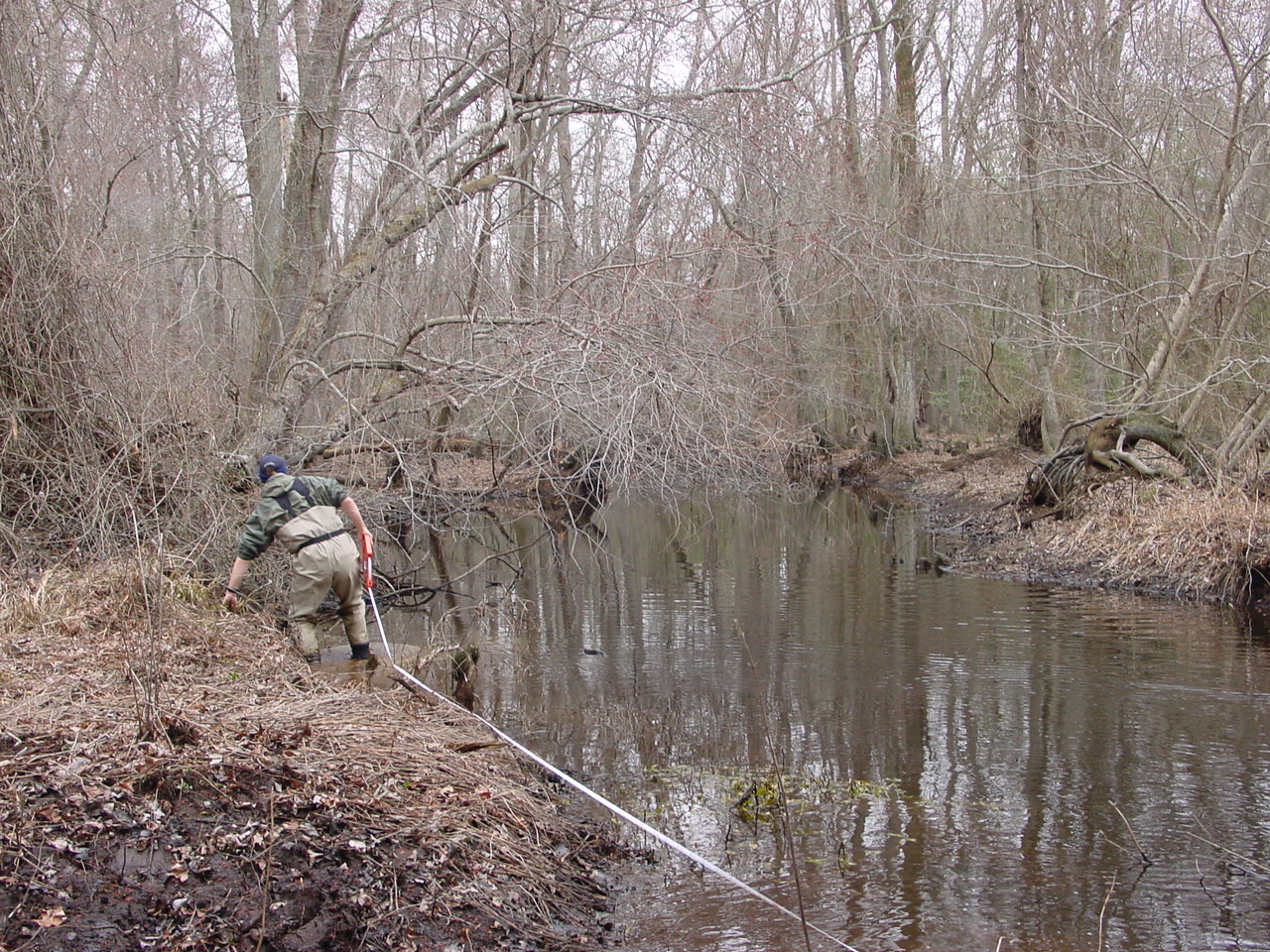 Field photo showing stream conditions at site NASS-302-S-2002-1
