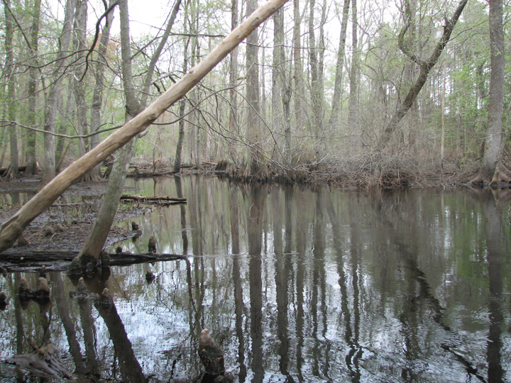 Field photo showing stream conditions at site NASS-302-S-2007-1