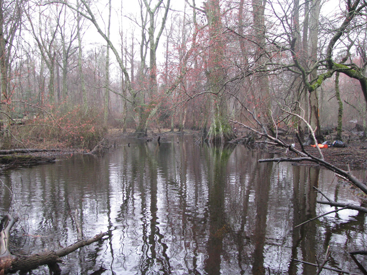Field photo showing stream conditions at site NASS-302-S-2009-1