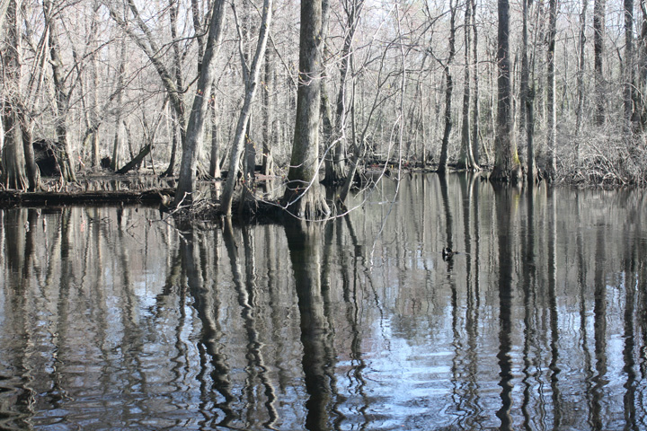 Field photo showing stream conditions at site NASS-302-S-2010-1