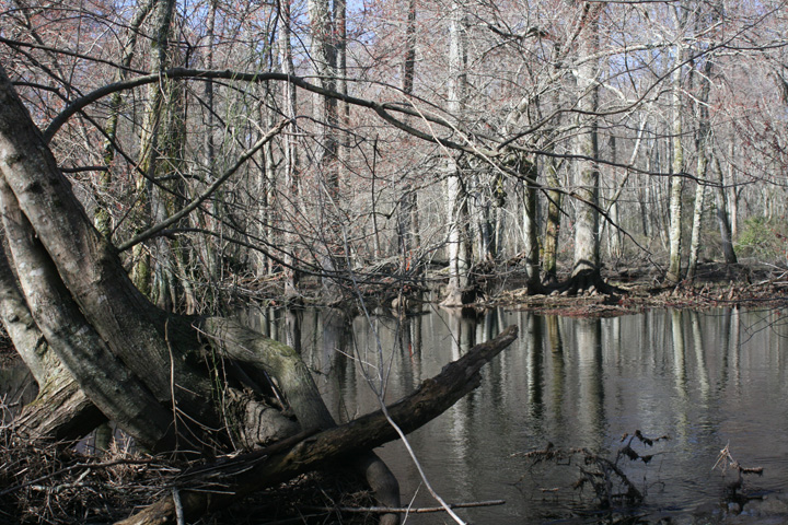 Field photo showing stream conditions at site NASS-302-S-2010-2
