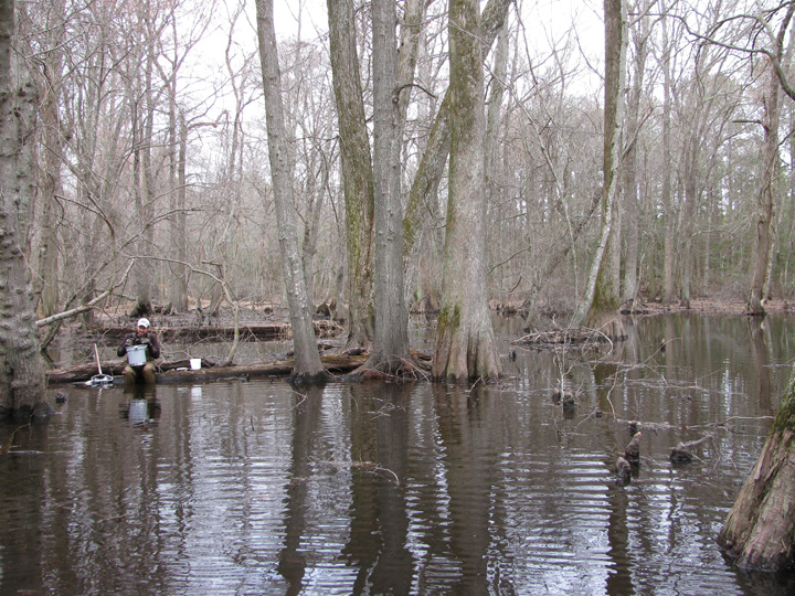 Field photo showing stream conditions at site NASS-302-S-2011-2
