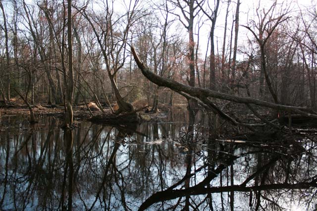 Field photo showing stream conditions at site NASS-302-S-2012-MidpointPdownstream