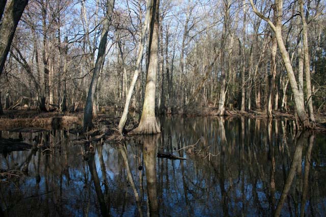 Field photo showing stream conditions at site NASS-302-S-2012-MidpointPupstream