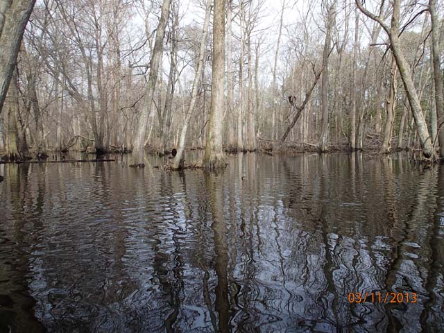Field photo showing stream conditions at site NASS-302-S-2013-MidpointDownstream