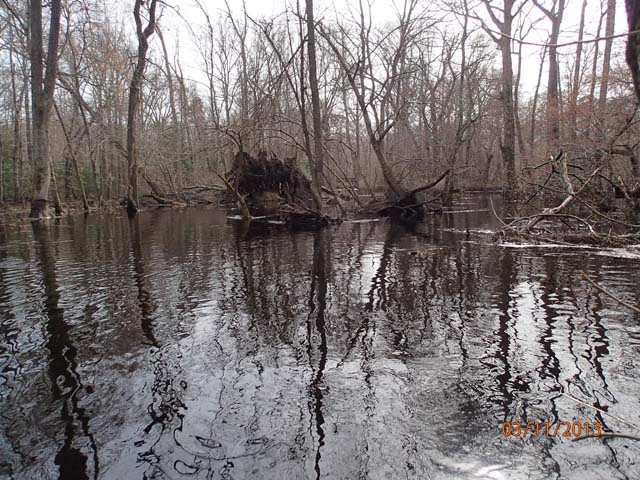Field photo showing stream conditions at site NASS-302-S-2013-MidpointUpstream