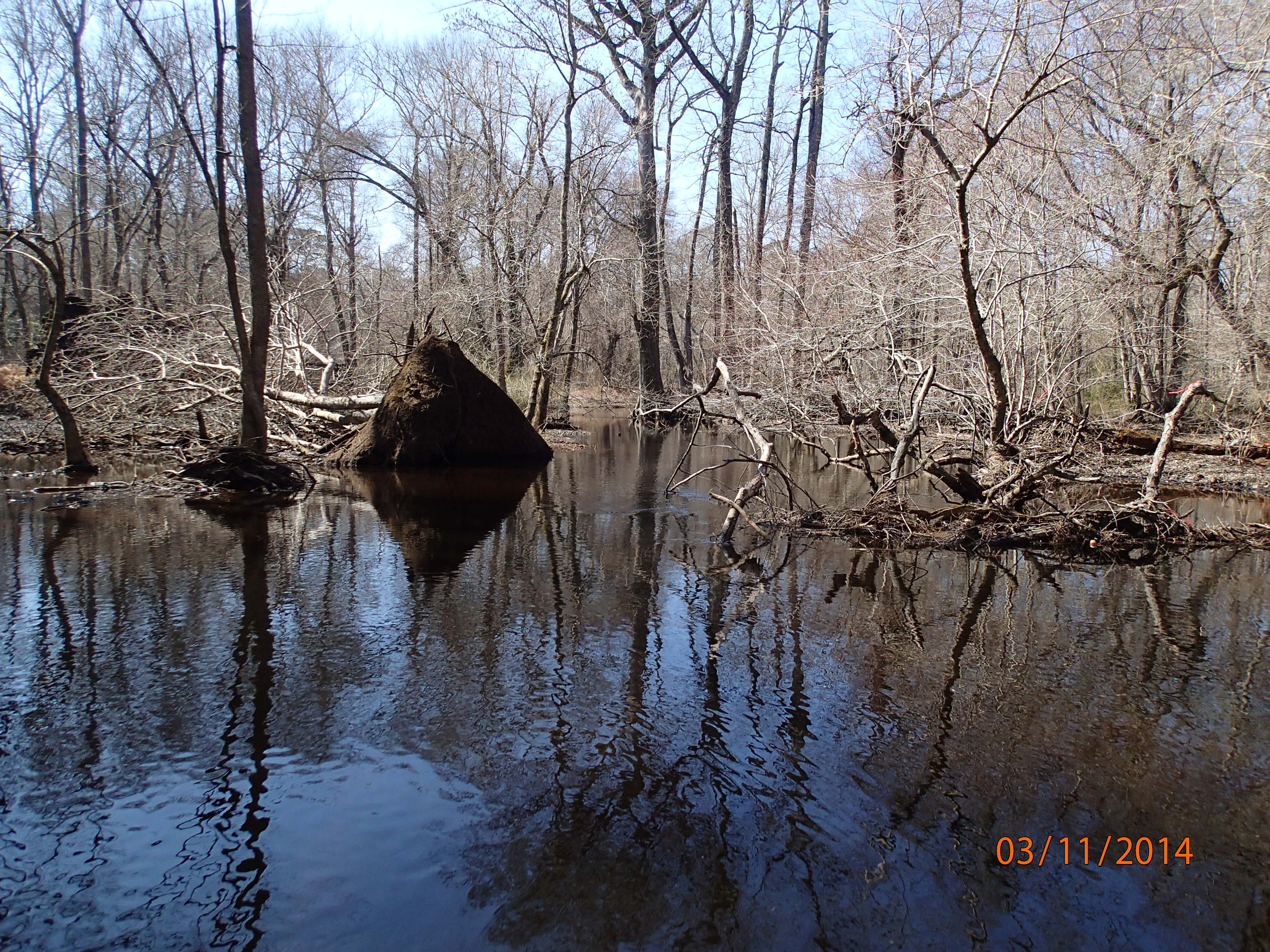 Field photo showing stream conditions at site NASS-302-S-2014-MidpointDownstream