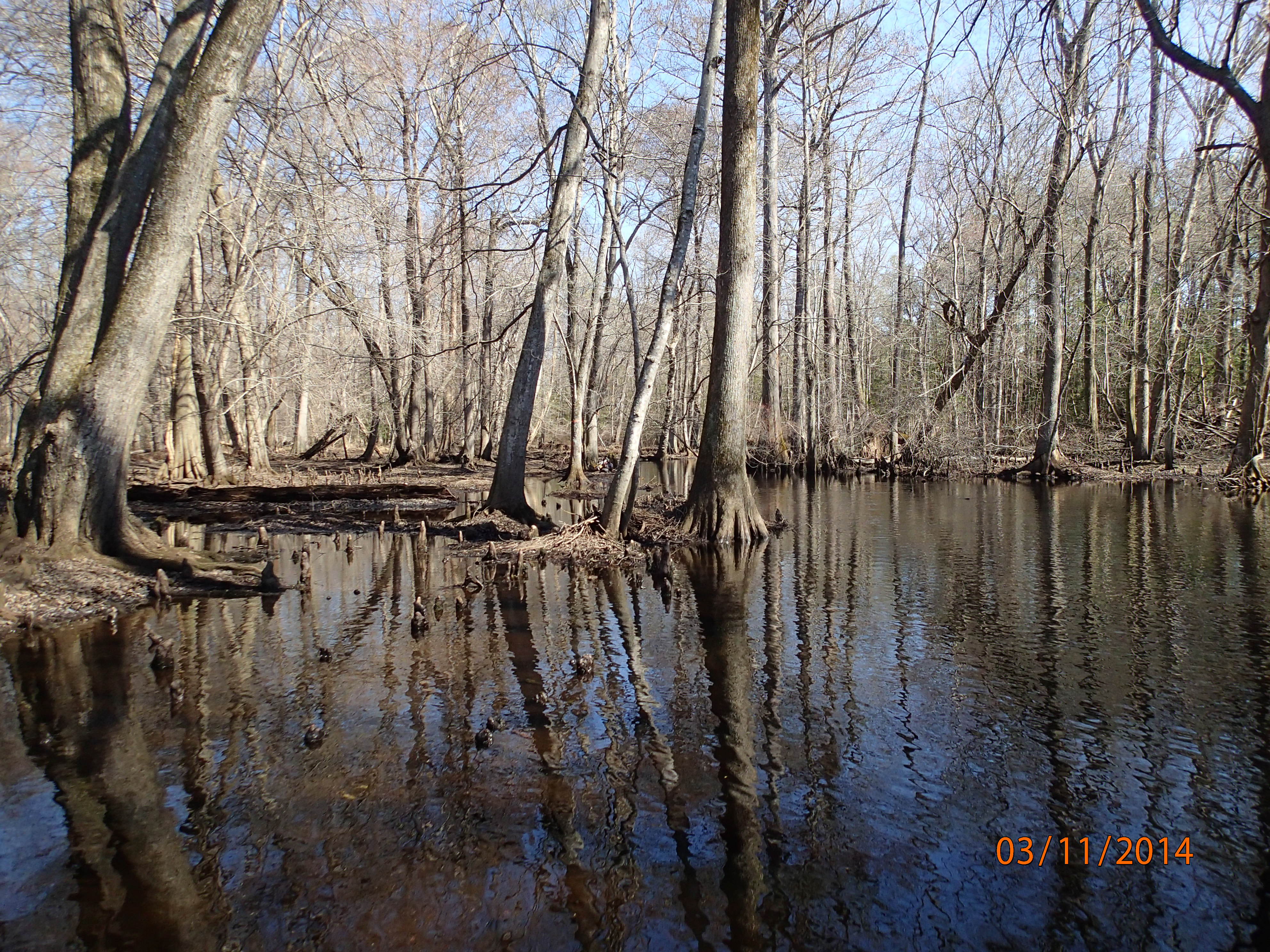 Field photo showing stream conditions at site NASS-302-S-2014-MidpointUpstream