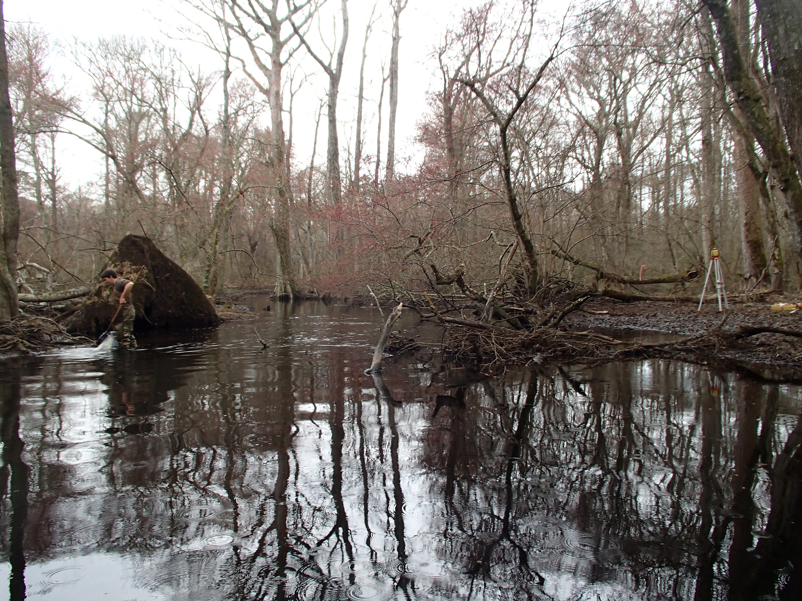 Field photo showing stream conditions at site NASS-302-S-2015_at-P-looking-downstream