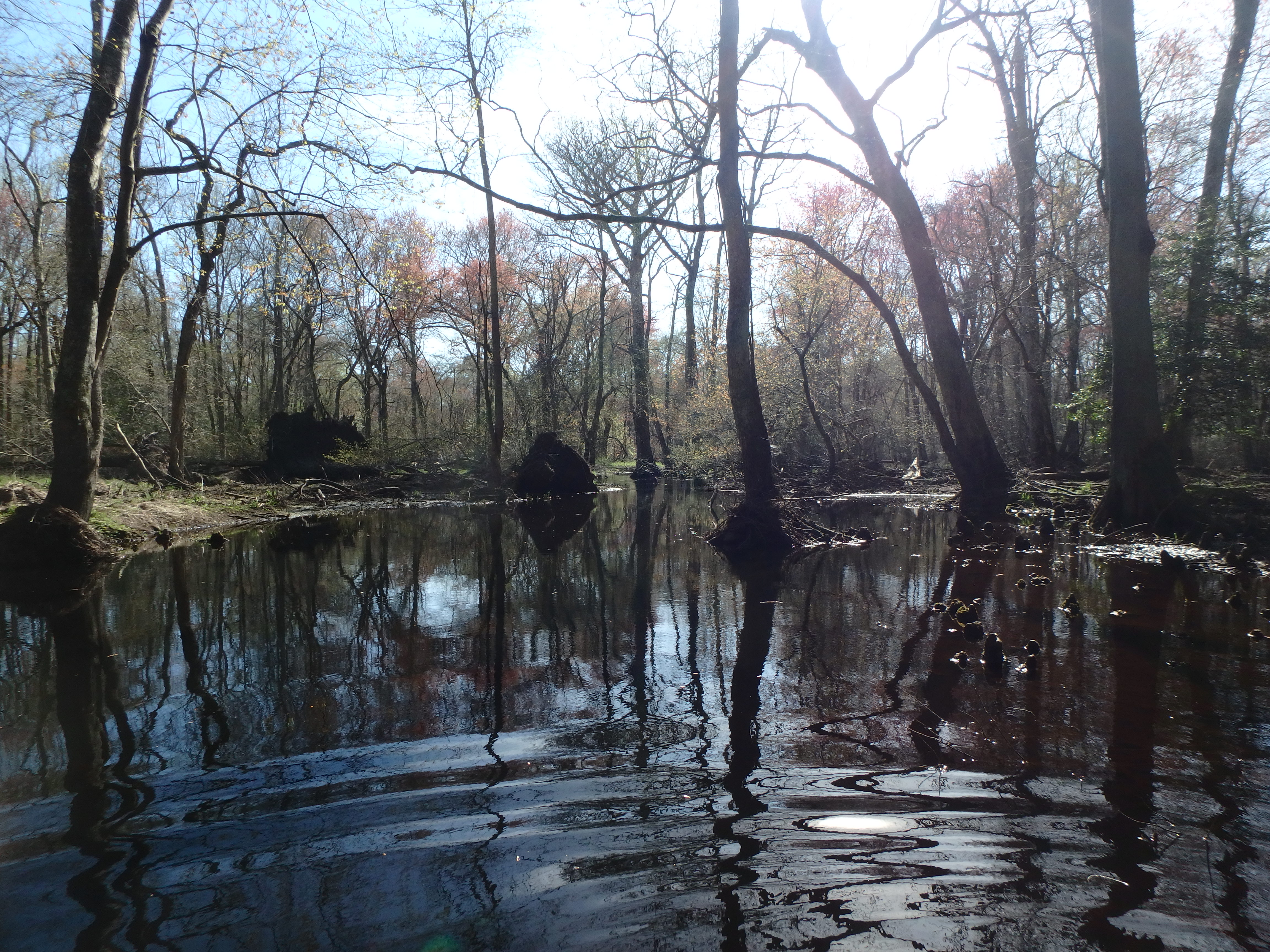 Field photo showing stream conditions at site NASS-302-S-2017-MidpointLookingDownstream