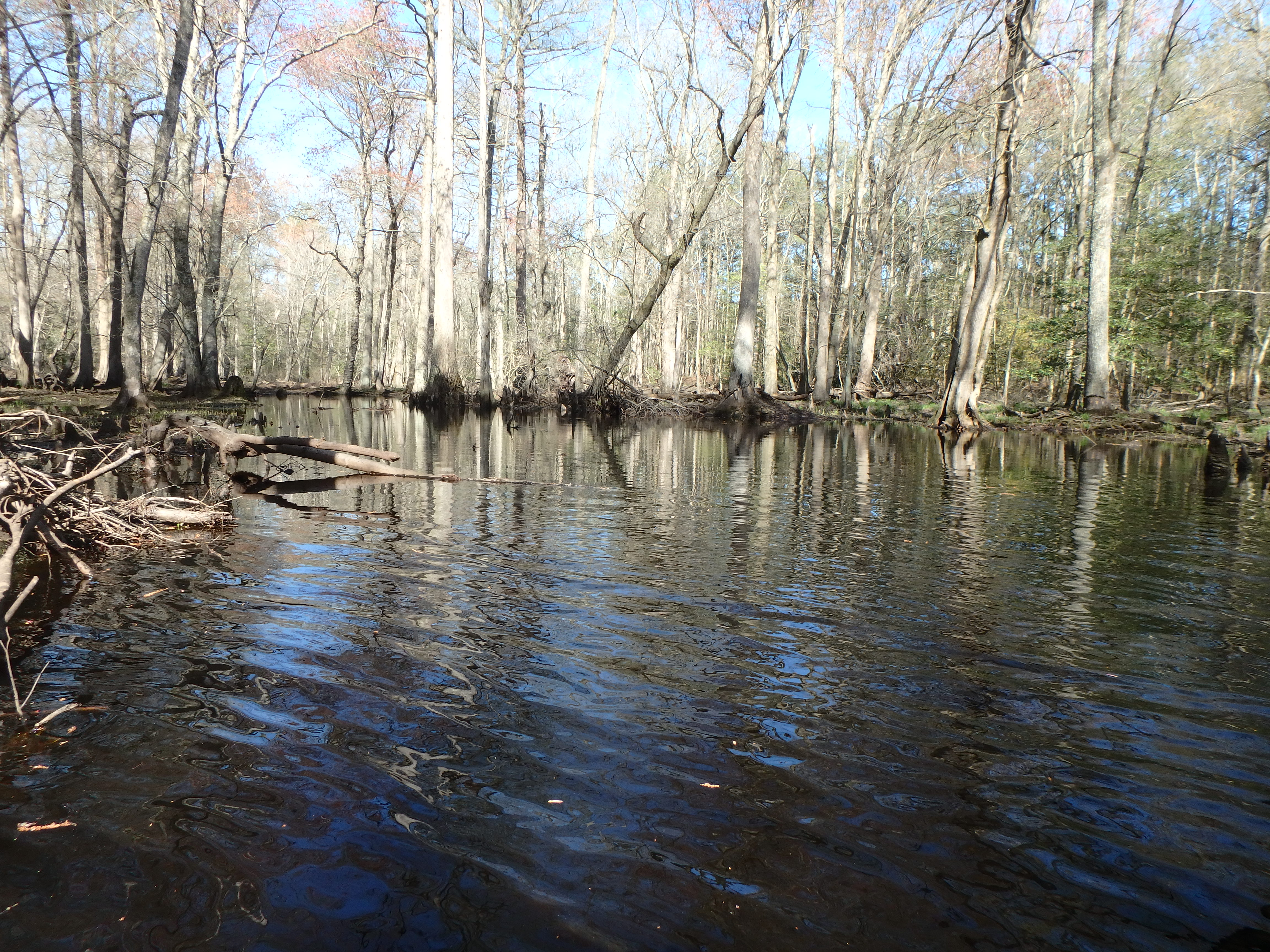 Field photo showing stream conditions at site NASS-302-S-2017-MidpointLookingUpstream