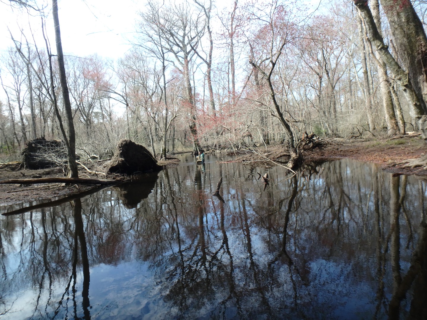 Field photo showing stream conditions at site NASS-302-S-2019-MidpointLookingDownstream