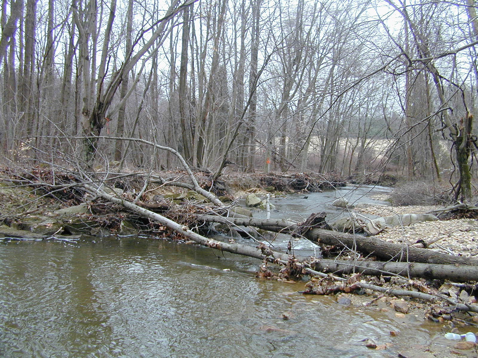 Field photo showing stream conditions at site NEAS-103-R-2001-1