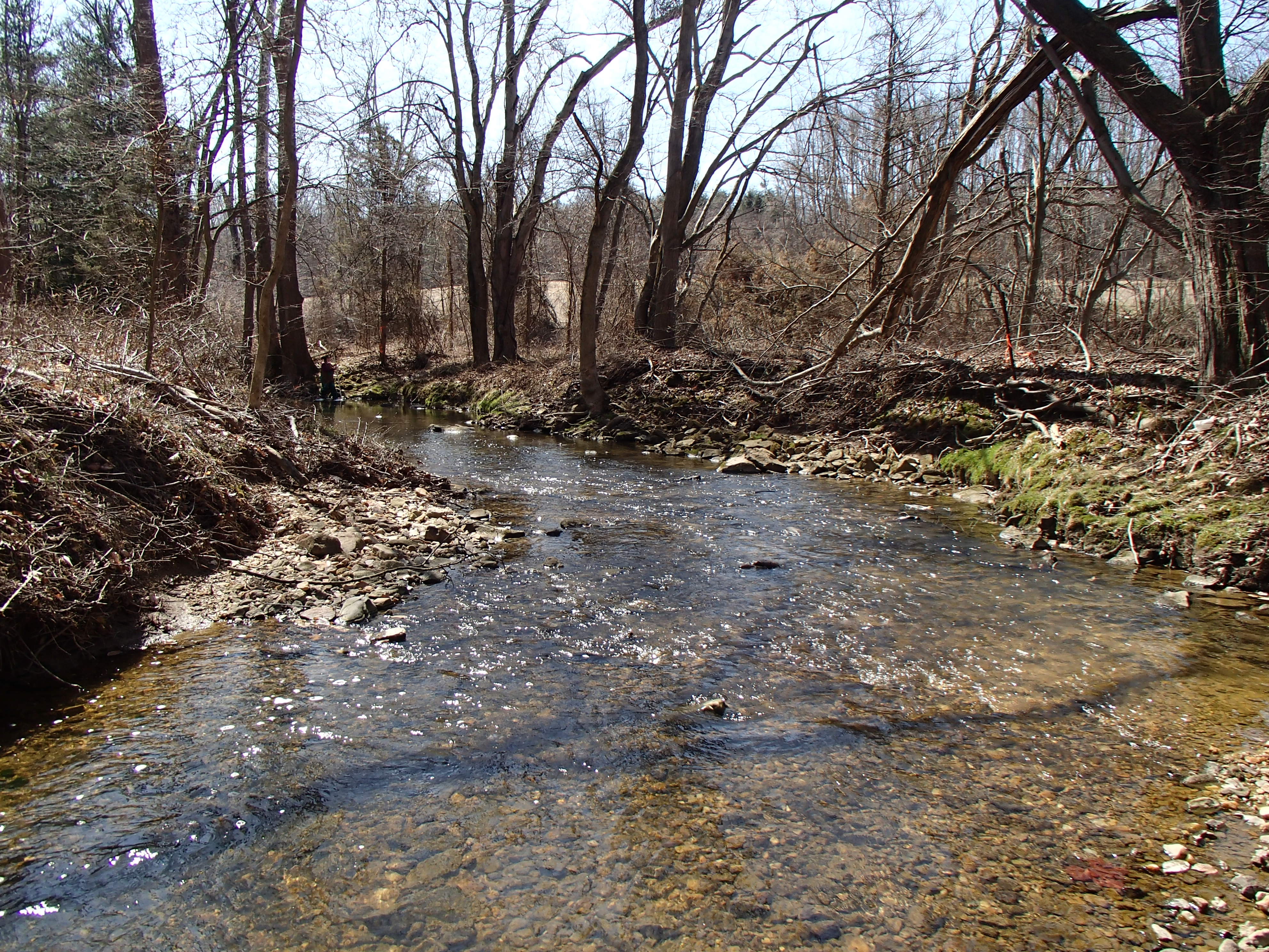 Field photo showing stream conditions at site NEAS-103-R-2015_Midpoint-looking-downstream