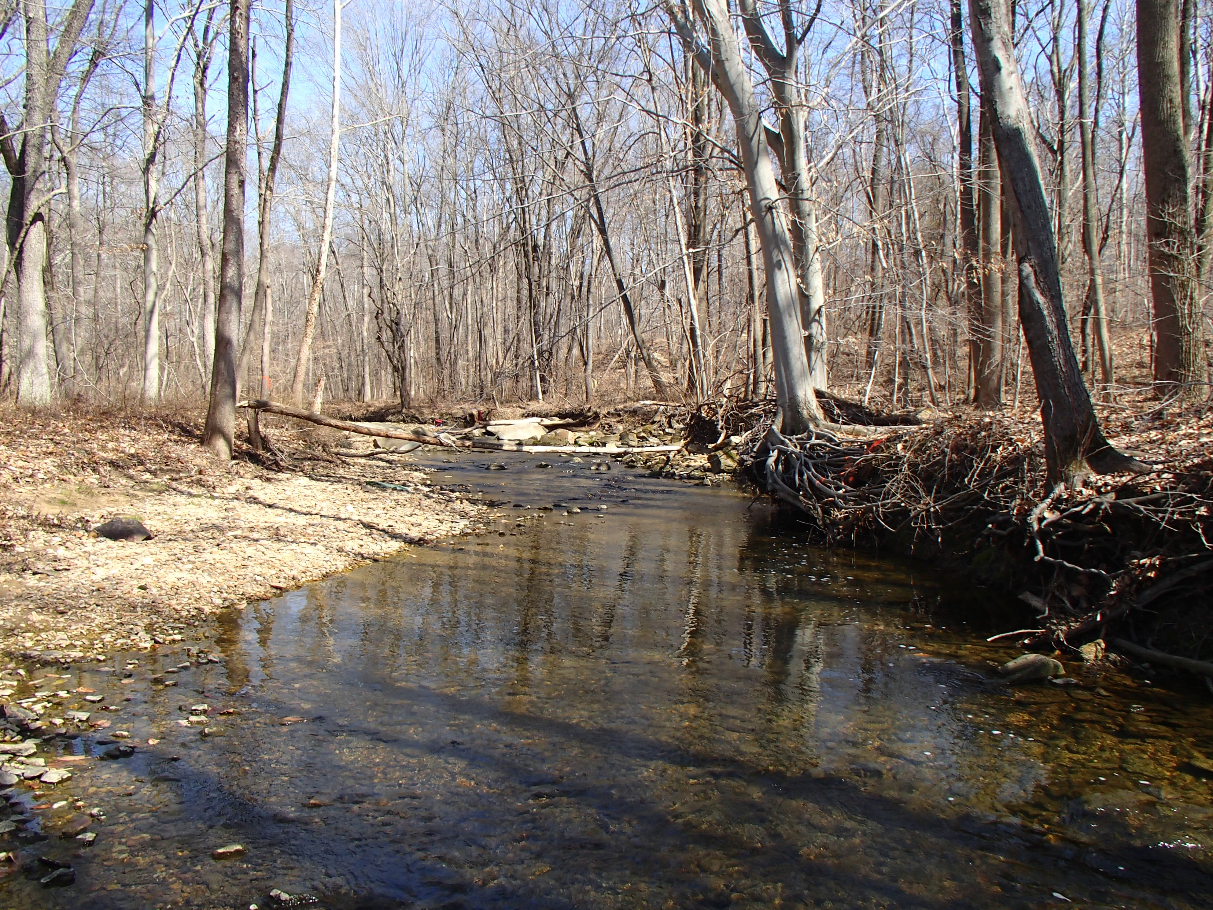 Field photo showing stream conditions at site NEAS-103-R-2015_Midpoint-looking-upstream