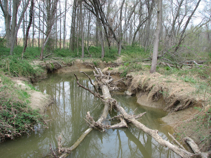 Field photo showing stream conditions at site NEAS-104-B-2007-1